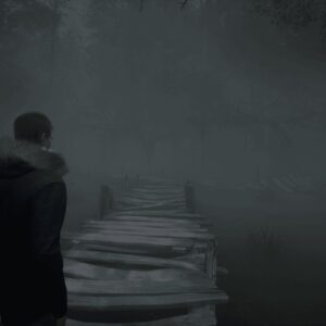 Stray Souls. Изображение 3