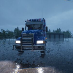 Truck Driver: The American Dream. Изображение 4