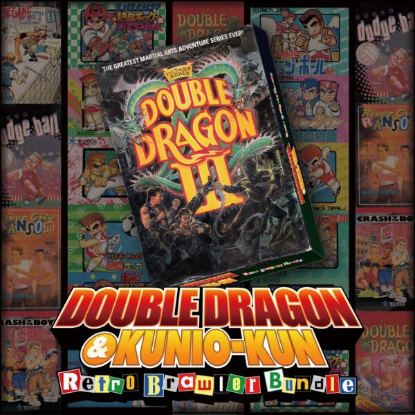 DOUBLE DRAGON Ⅲ: The Sacred Stones. Изображение 1