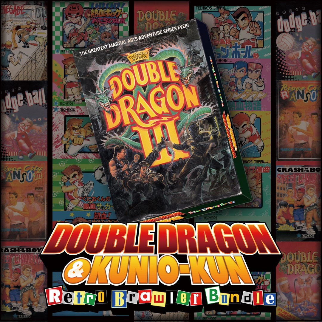 DOUBLE DRAGON Ⅲ: The Sacred Stones. Изображение 1