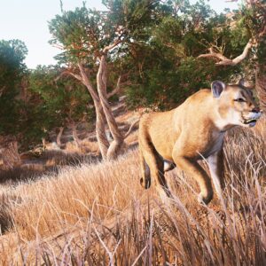 Hunting Simulator. Изображение 3