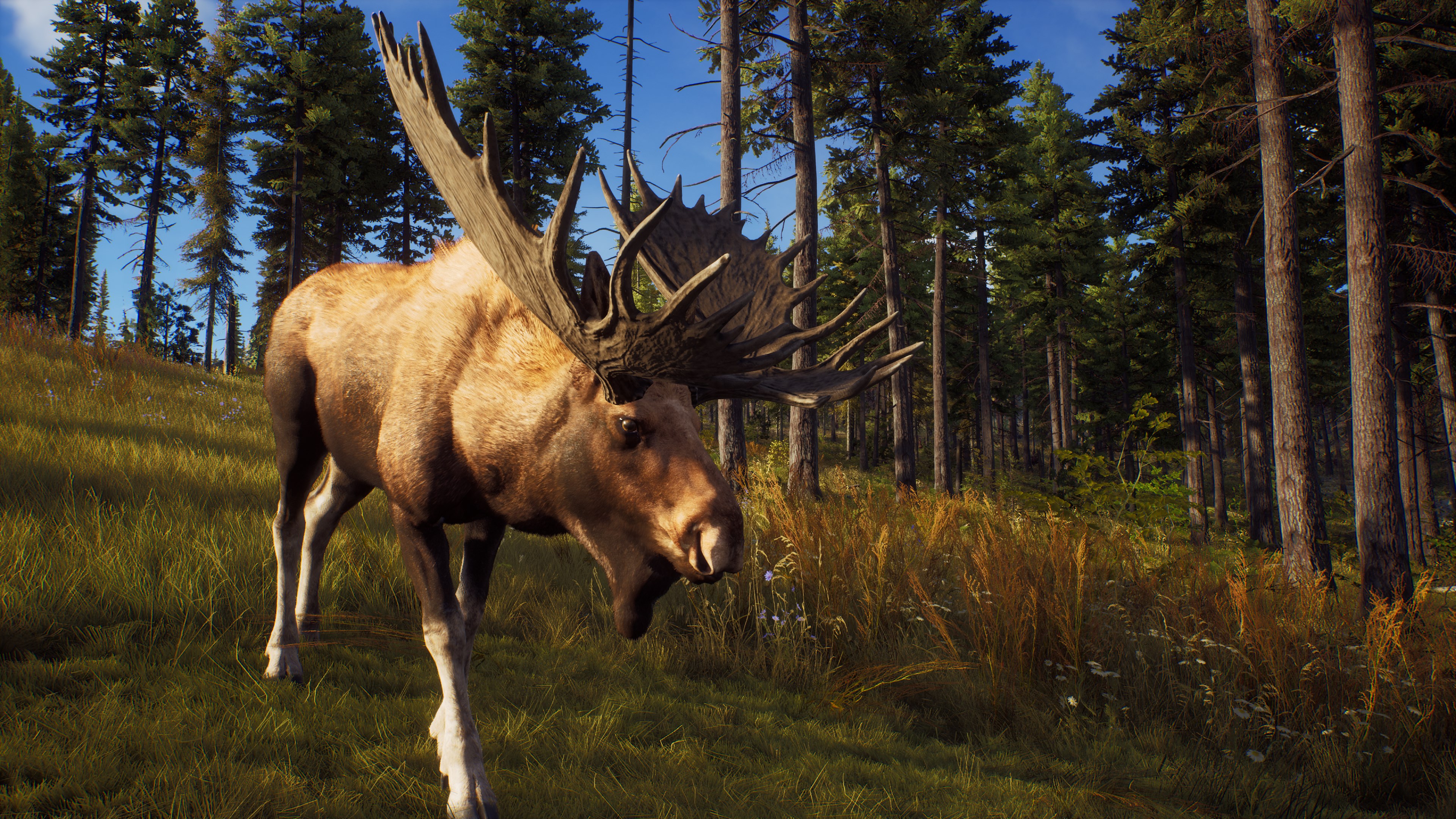 Way of the Hunter: Elite Edition. Изображение 2