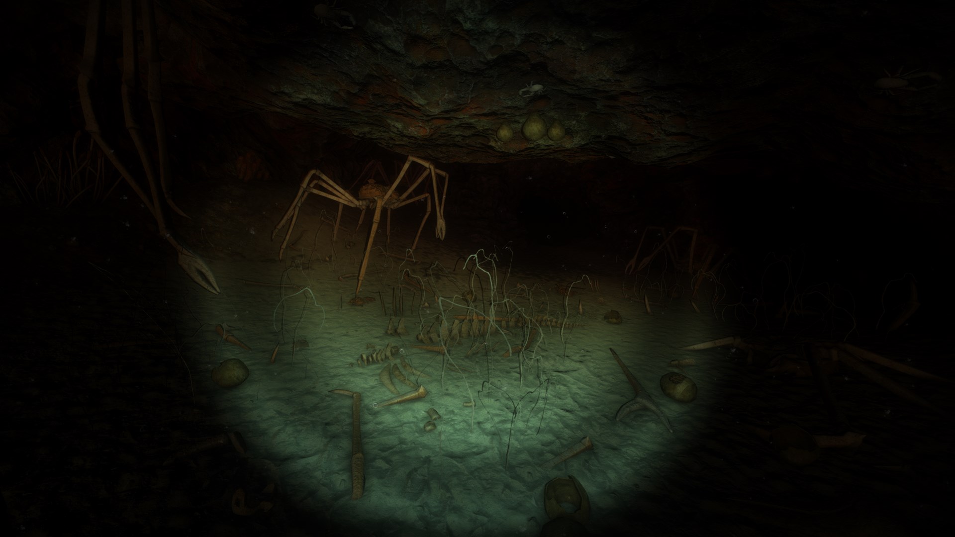 Narcosis. Изображение 3