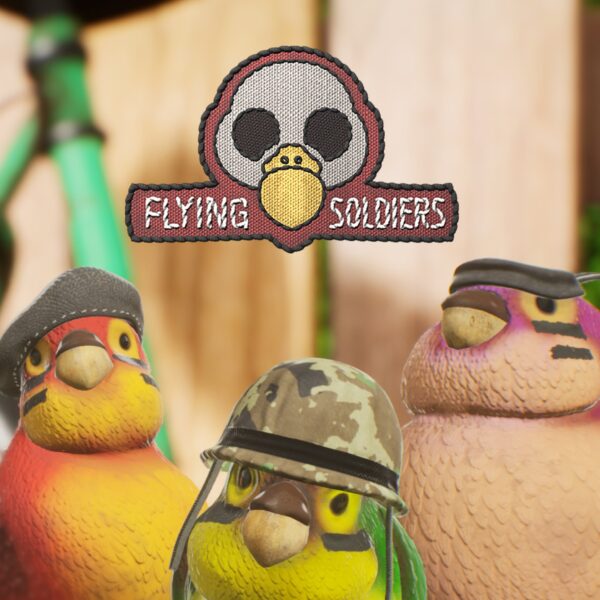 Flying Soldiers. Изображение 1