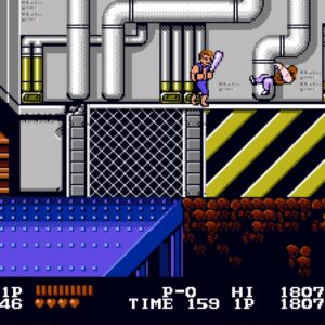 DOUBLE DRAGON. Изображение 3