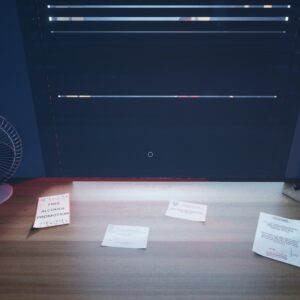 DETECTIVE - Stella Porta case. Изображение 3