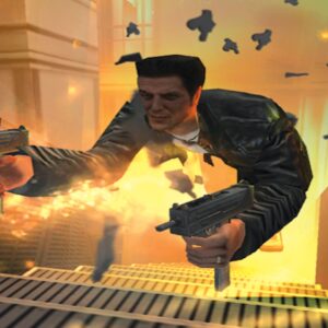 Max Payne. Изображение 2