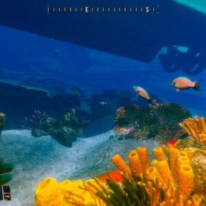Deep Diving Adventures. Изображение 3