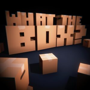 What the Box?. Изображение 1