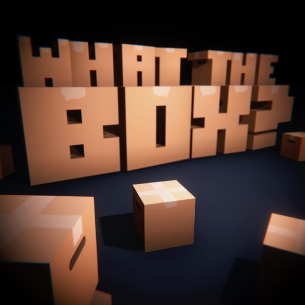 What the Box?. Изображение 1