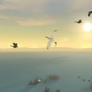 Storm Boy. Изображение 4