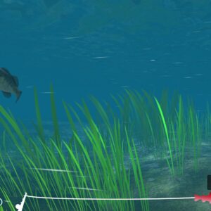 Reel Fishing: Days of Summer. Изображение 3