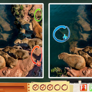 Spot The Differences! Party. Изображение 4