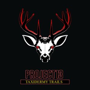 Project 13: Taxidermy. Изображение 1
