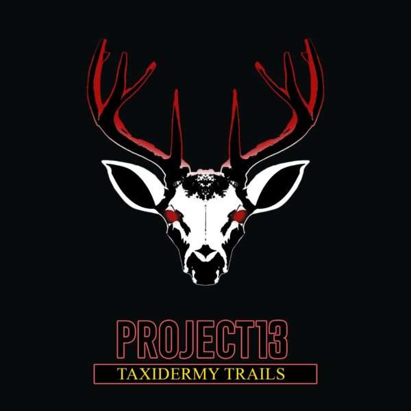 Project 13: Taxidermy. Изображение 1