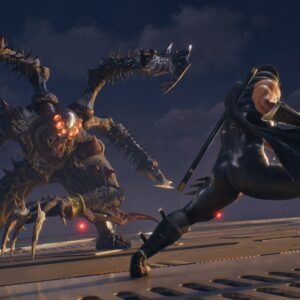 NINJA GAIDEN 2 Black. Изображение 2