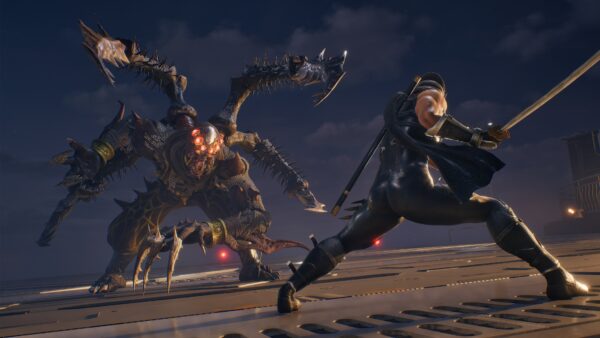 NINJA GAIDEN 2 Black. Изображение 2