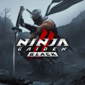 NINJA GAIDEN 2 Black. Изображение 1