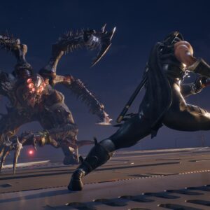 NINJA GAIDEN 2 Black. Изображение 3