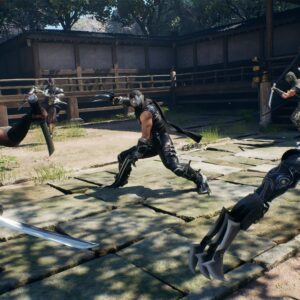 NINJA GAIDEN 2 Black. Изображение 4