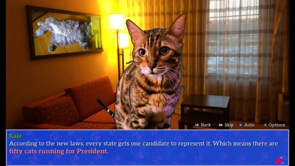 Cat President: A More Purrfect Union. Изображение 2