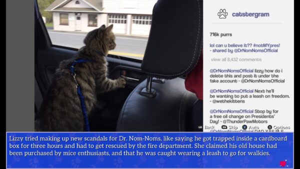 Cat President: A More Purrfect Union. Изображение 4