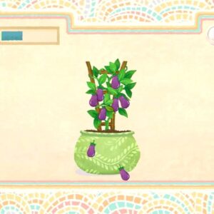 Amelia's Garden. Изображение 4
