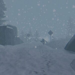 Snow Squall. Изображение 3