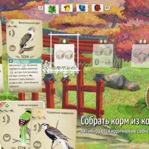птицы Европы + Океании + Азии + Декоративные наборы. Изображение 4