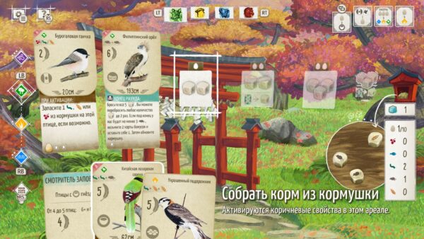 птицы Европы + Океании + Азии + Декоративные наборы. Изображение 4