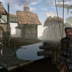 The Elder Scrolls III: Morrowind. Изображение 4