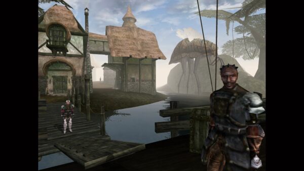 The Elder Scrolls III: Morrowind. Изображение 4