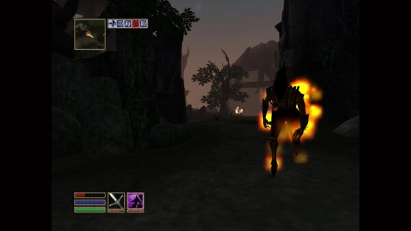 The Elder Scrolls III: Morrowind. Изображение 2