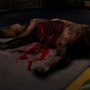 Canine. Изображение 4
