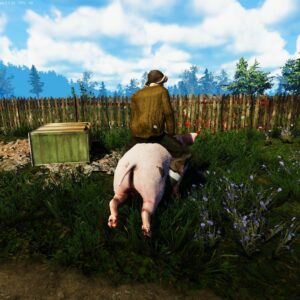 Farmer's Life & Arena Renovation Bundle. Изображение 2