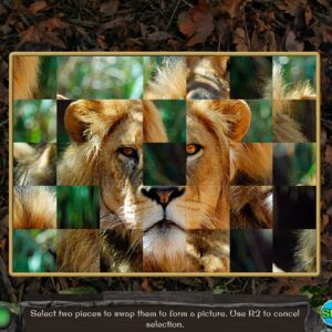 Animal Kingdom 3. Изображение 4