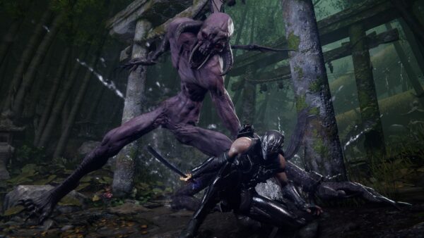 NINJA GAIDEN 4 Deluxe Edition. Изображение 3