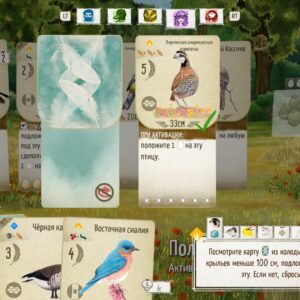 Birds and Cats. Изображение 4