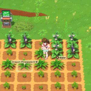 Harvest Moon: Home Sweet Home Special Edition. Изображение 2