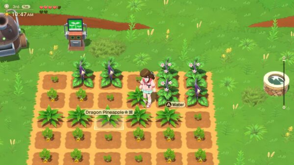 Harvest Moon: Home Sweet Home Special Edition. Изображение 2