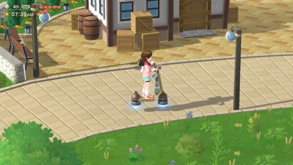 Harvest Moon: Home Sweet Home Special Edition. Изображение 3