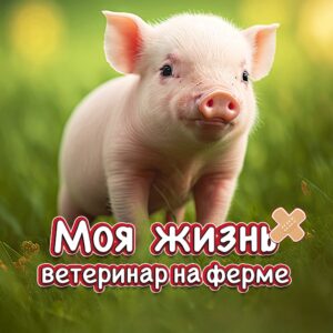 Моя жизнь: ветеринар на ферме. Изображение 1