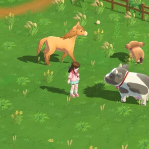 Harvest Moon: Home Sweet Home Special Edition. Изображение 4