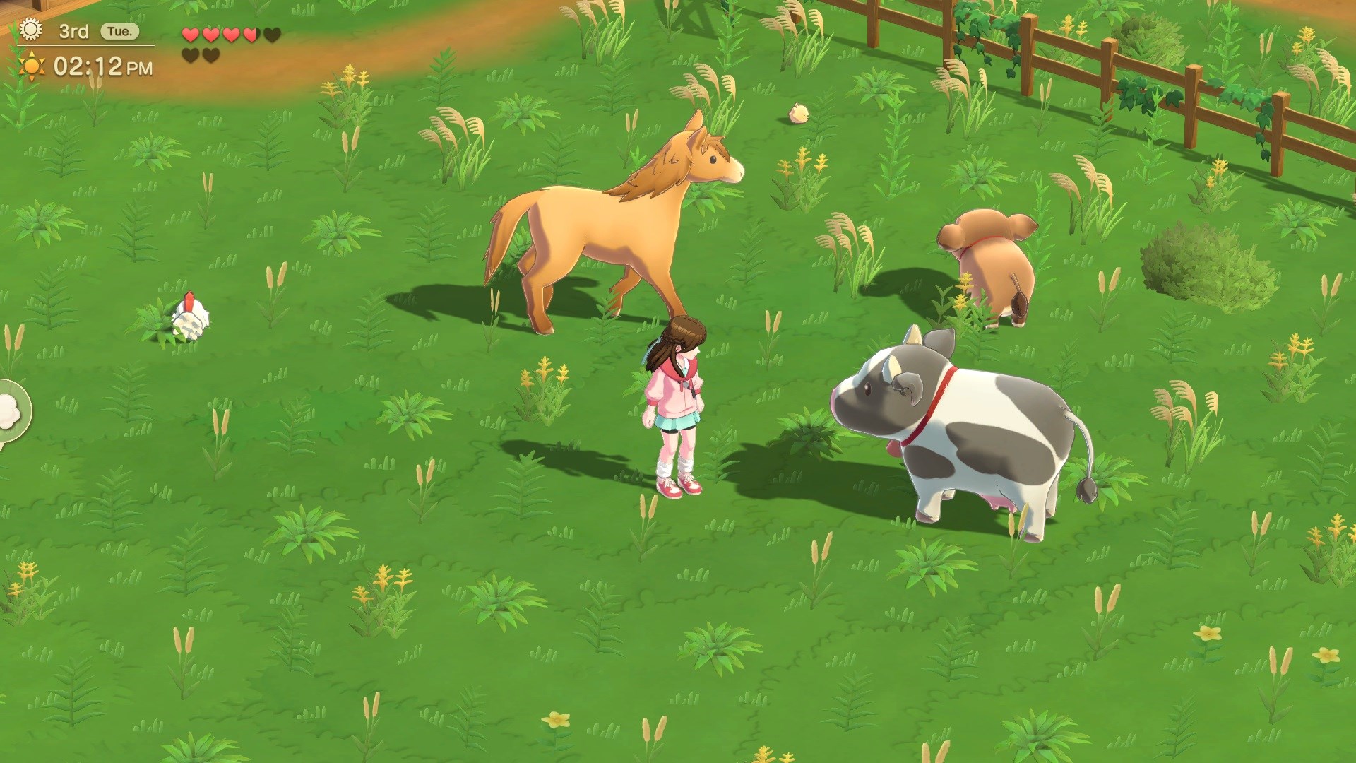 Harvest Moon: Home Sweet Home Special Edition. Изображение 4