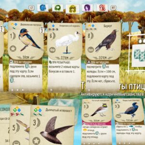 Birds and Cats. Изображение 2