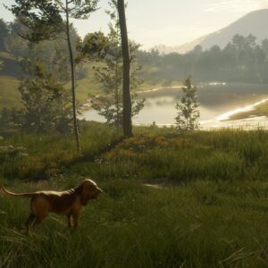 theHunter: Call of the Wild™ - Hunting Starter Bundle. Изображение 3