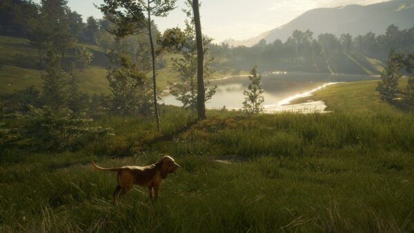 theHunter: Call of the Wild™ - Hunting Starter Bundle. Изображение 3