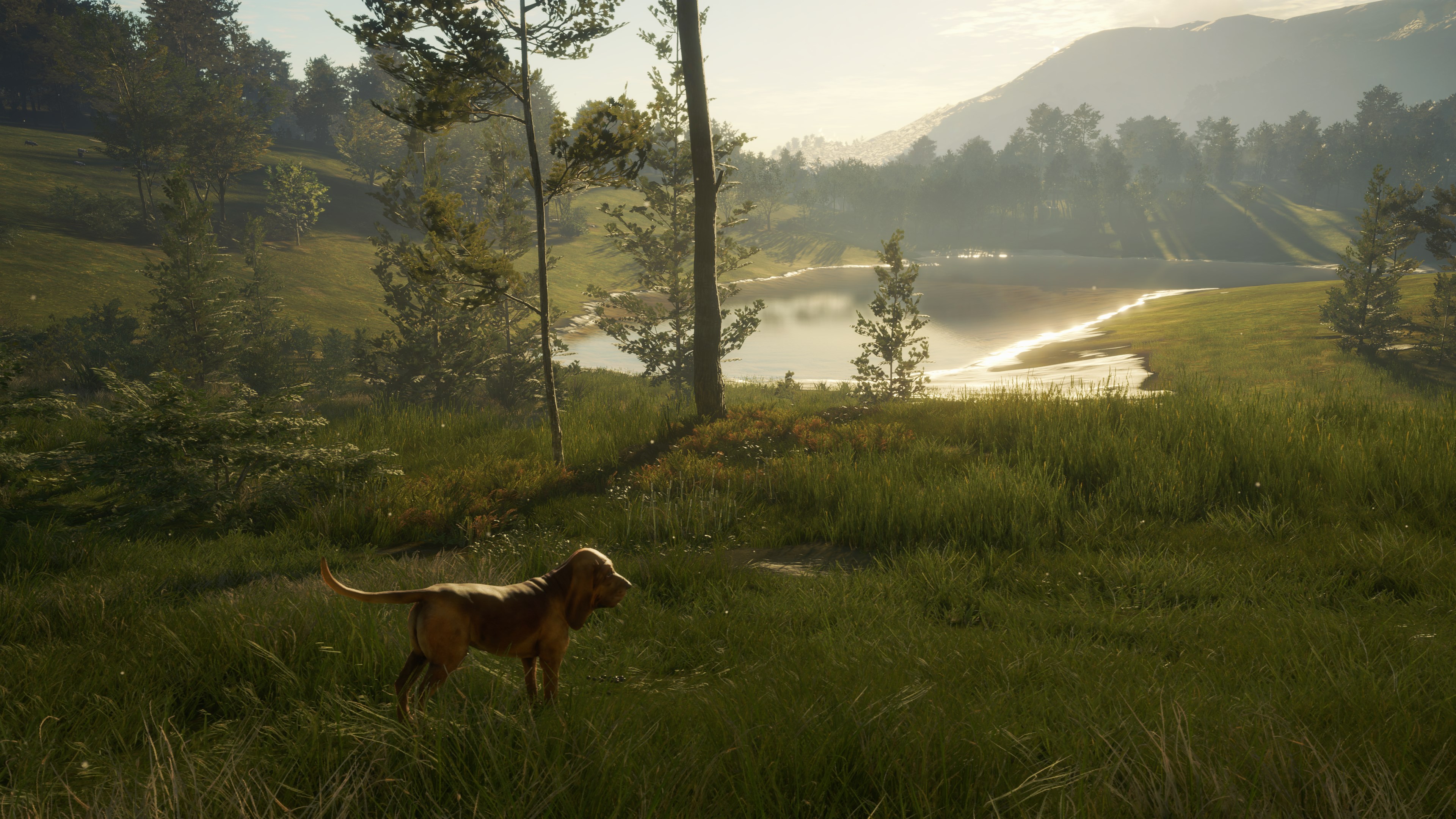 theHunter: Call of the Wild™ - Hunting Starter Bundle. Изображение 3