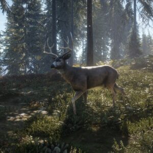 theHunter: Call of the Wild™ - Hunting Starter Bundle. Изображение 2