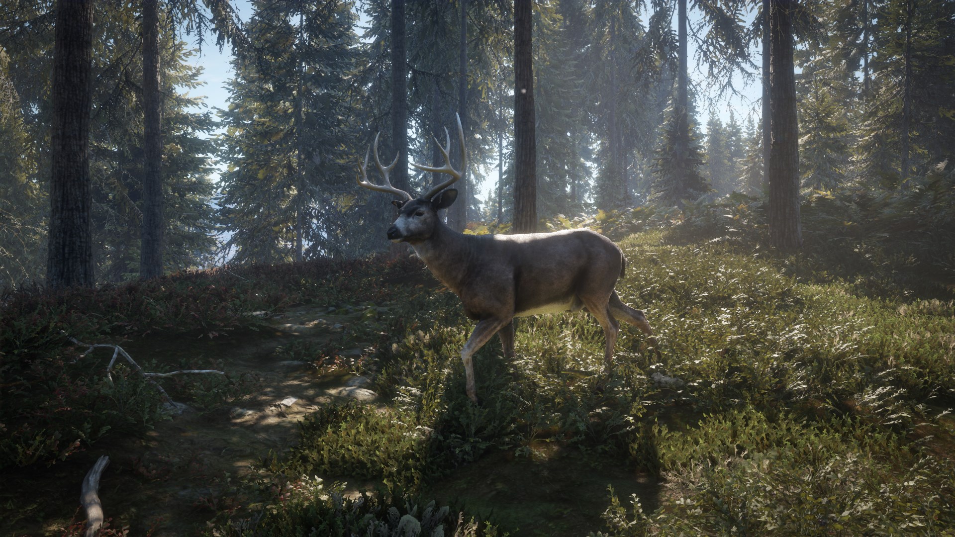 theHunter: Call of the Wild™ - Hunting Starter Bundle. Изображение 2